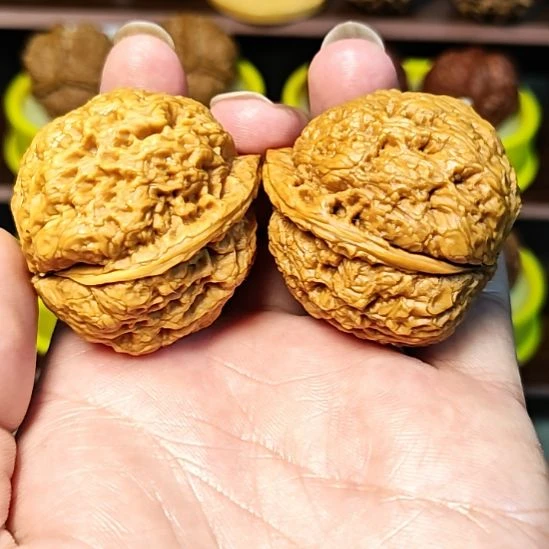 文玩核桃把件熔岩纹金蟾疙瘩包（9）