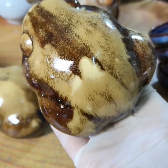 瓷片磁州窑五厂盘碗壶杯有瑕疵