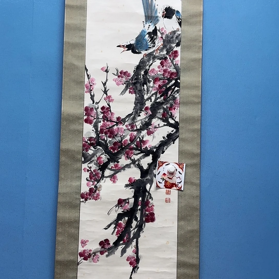老张专拍专用链接