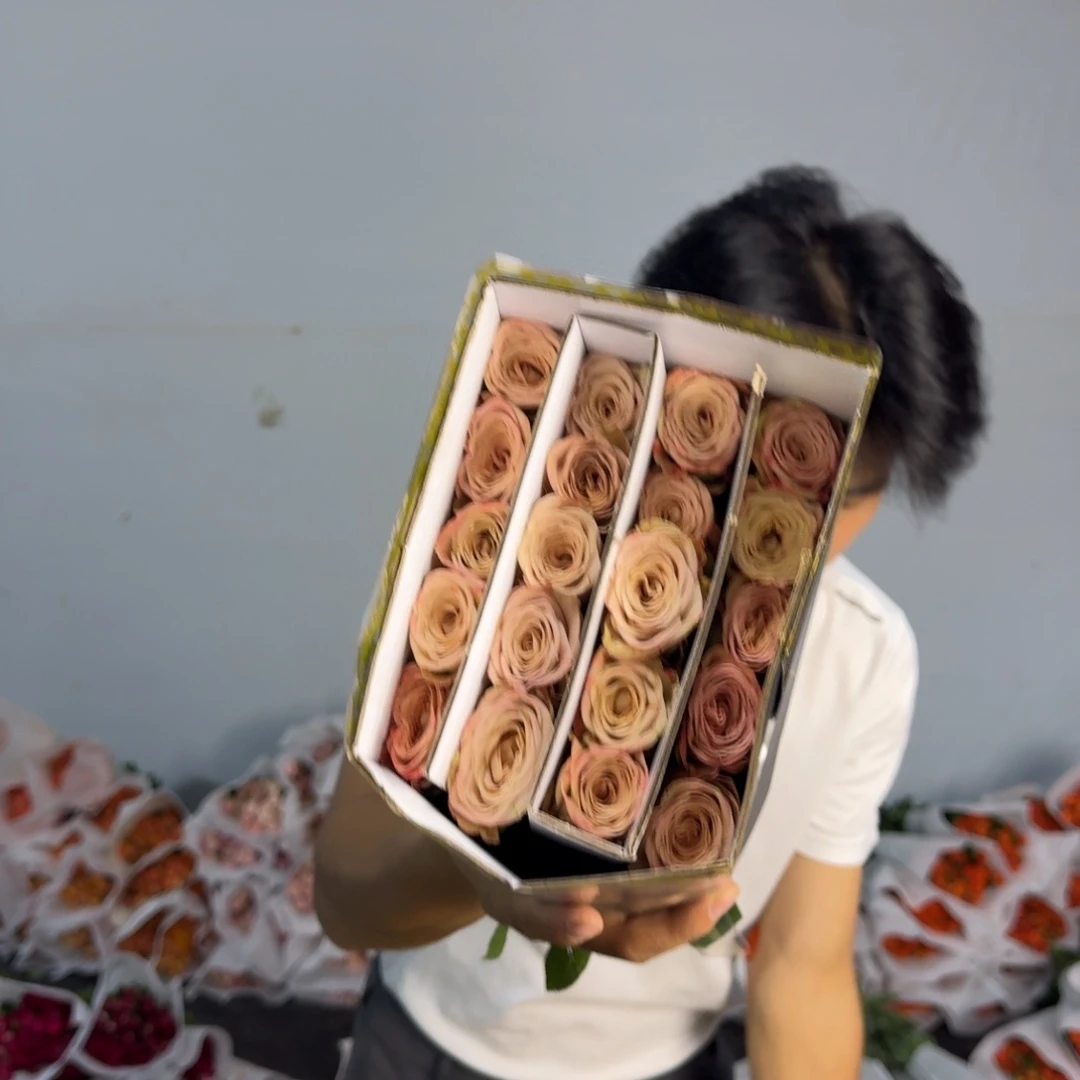 卡布2扎包邮价秒杀