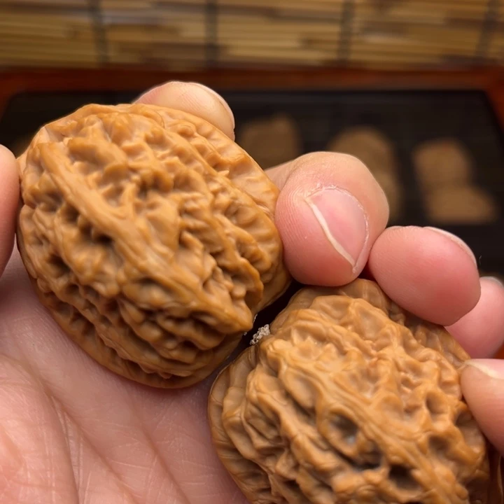 不***人福利单福利单福利单