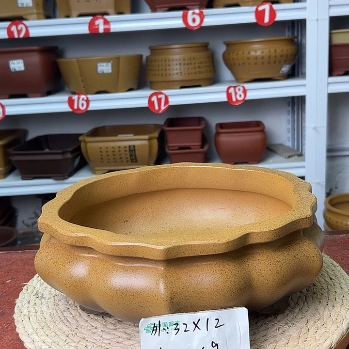 紫砂花盆蛇年大吉