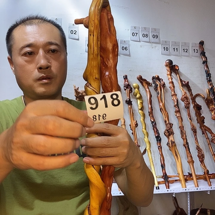 赤***仙黑果木云南黑果木树榴摆件