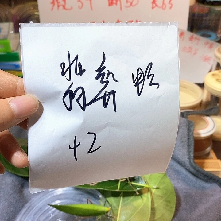 静***ᝰ翡翠蛉2只包邮