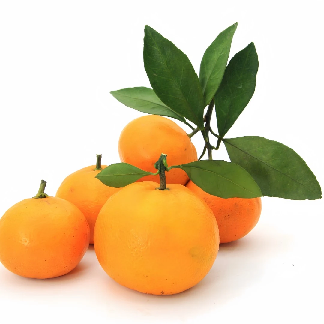 砂糖橘4kg【好东西】