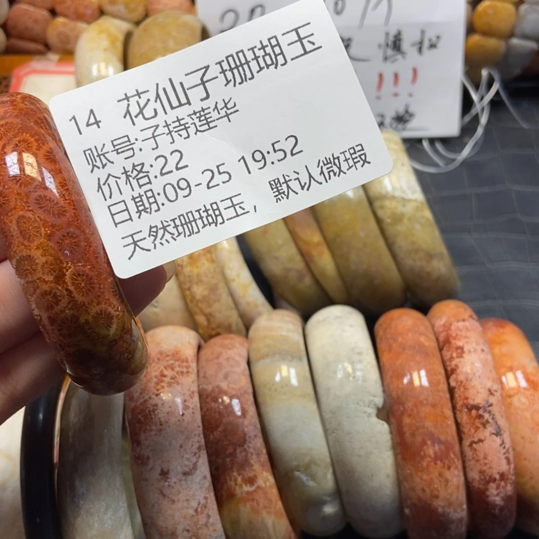 子***华硅化珊瑚（珊瑚玉）未镶嵌珠宝半成品14