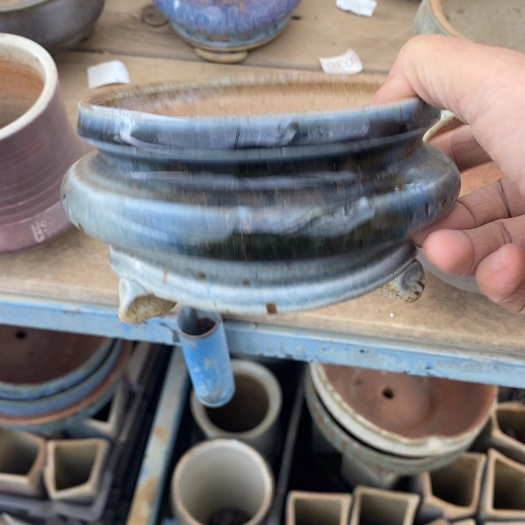 往***生115号多肉盆口径11