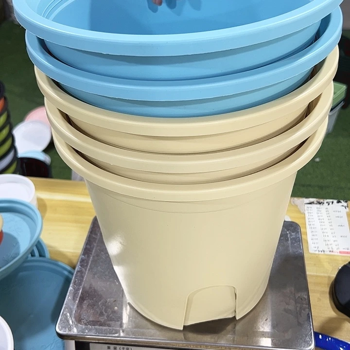 特价圆控口29.5高27.5混色无托5只