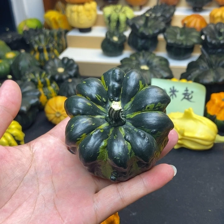 辰*西福利福利福利福利