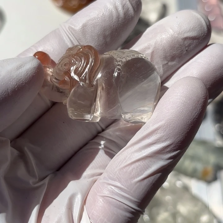 未镶嵌颈饰水晶ᴇ***.