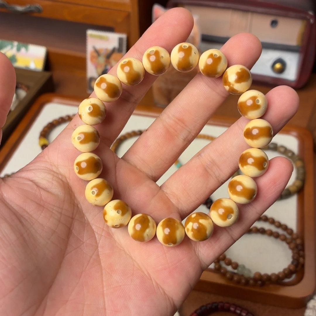 菩提根/象牙果手串