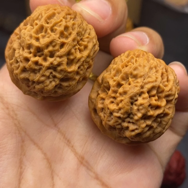 文玩核桃把件35尺蚂蚁哦元宝