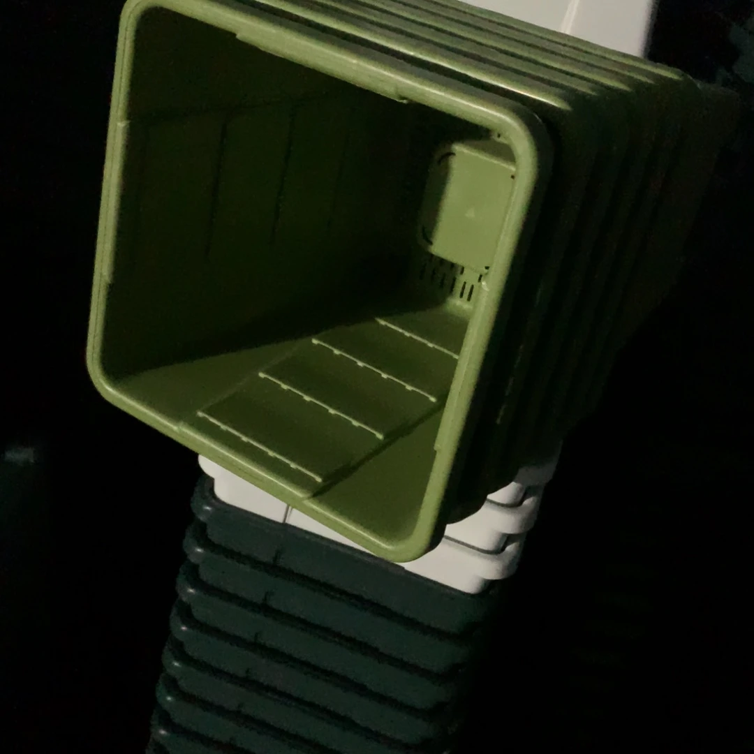 红陶19口果绿无托6个