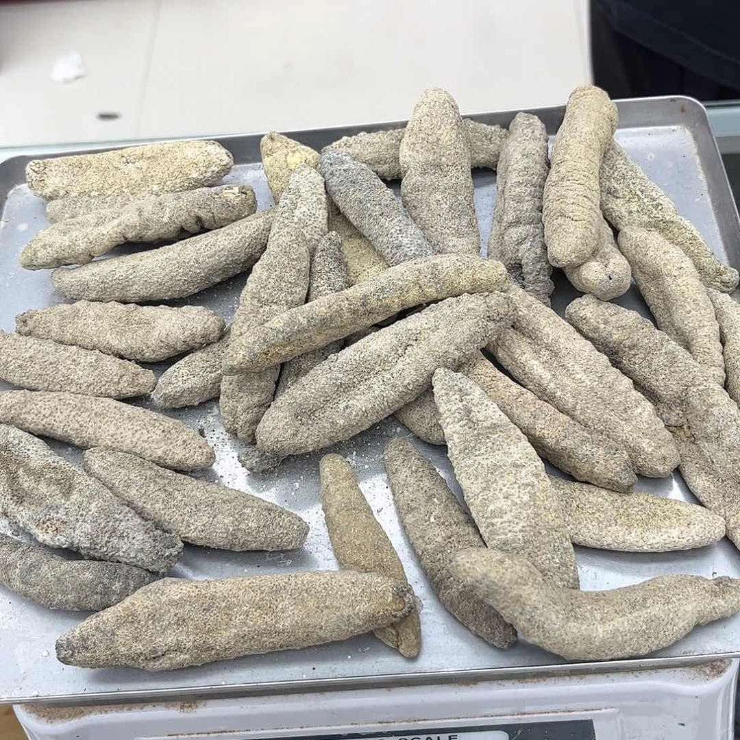 中国大陆北大西洋北极参