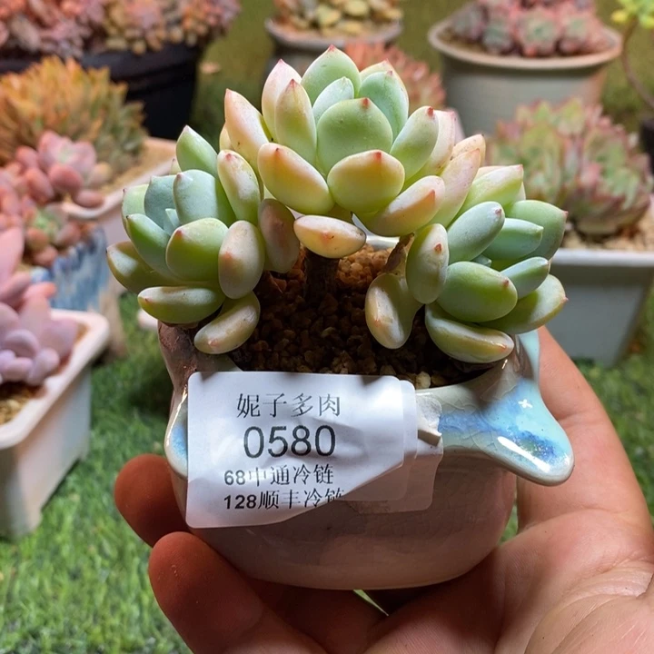 0580啊啊啊啊啊啊啊啊啊啊