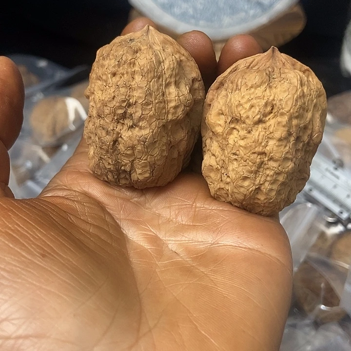把件文玩核桃云南铁核桃基地42