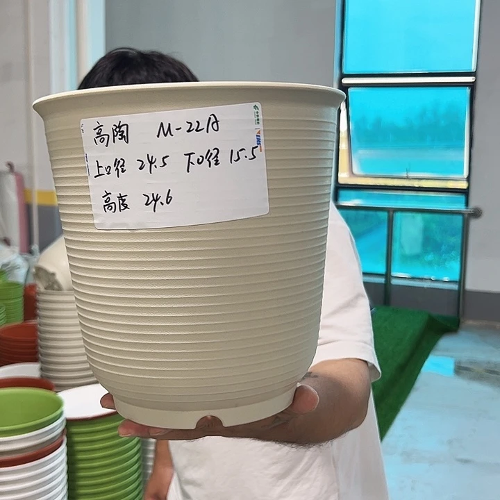 正品高陶口24高24米色无托5只