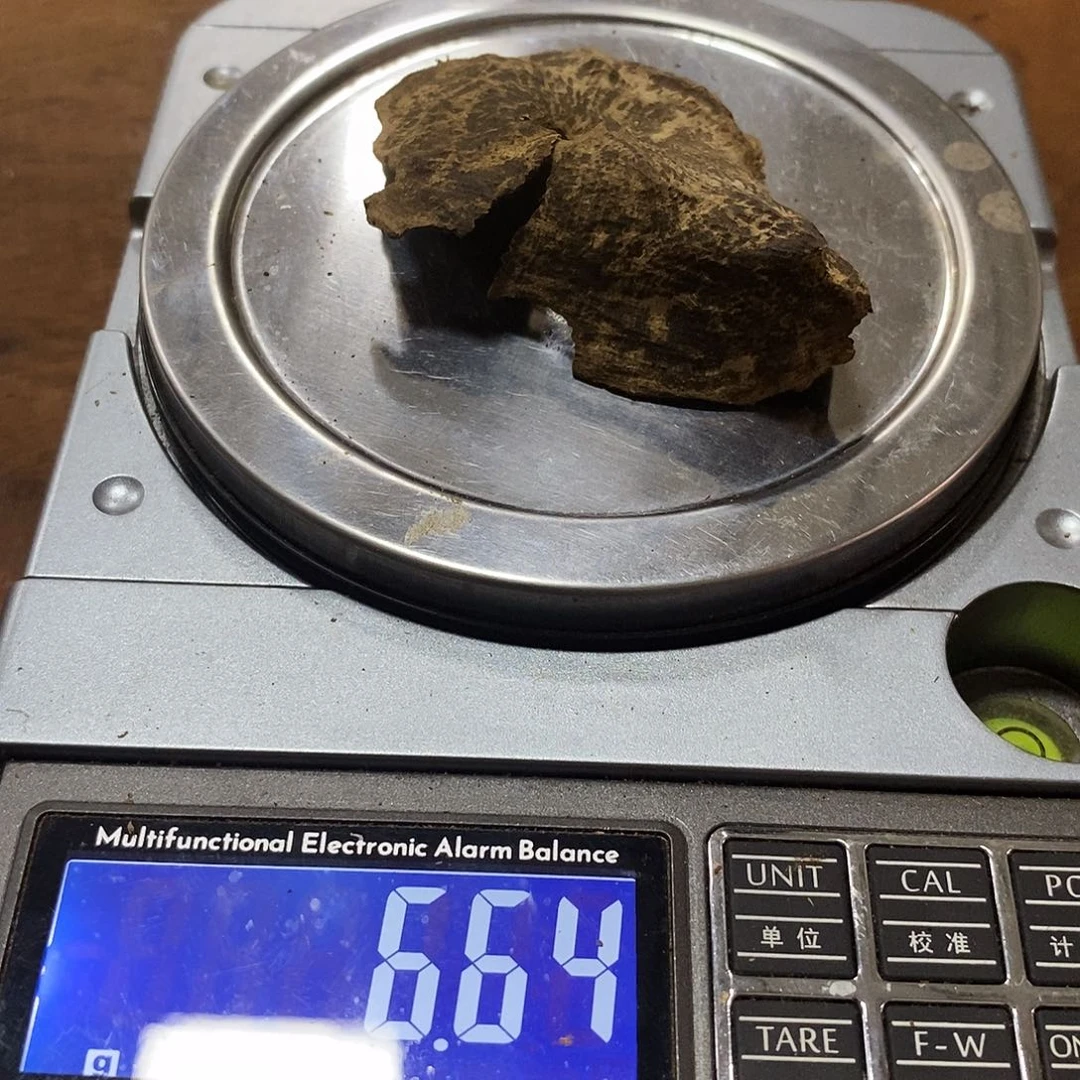 达拉干香料一块（福利品110304