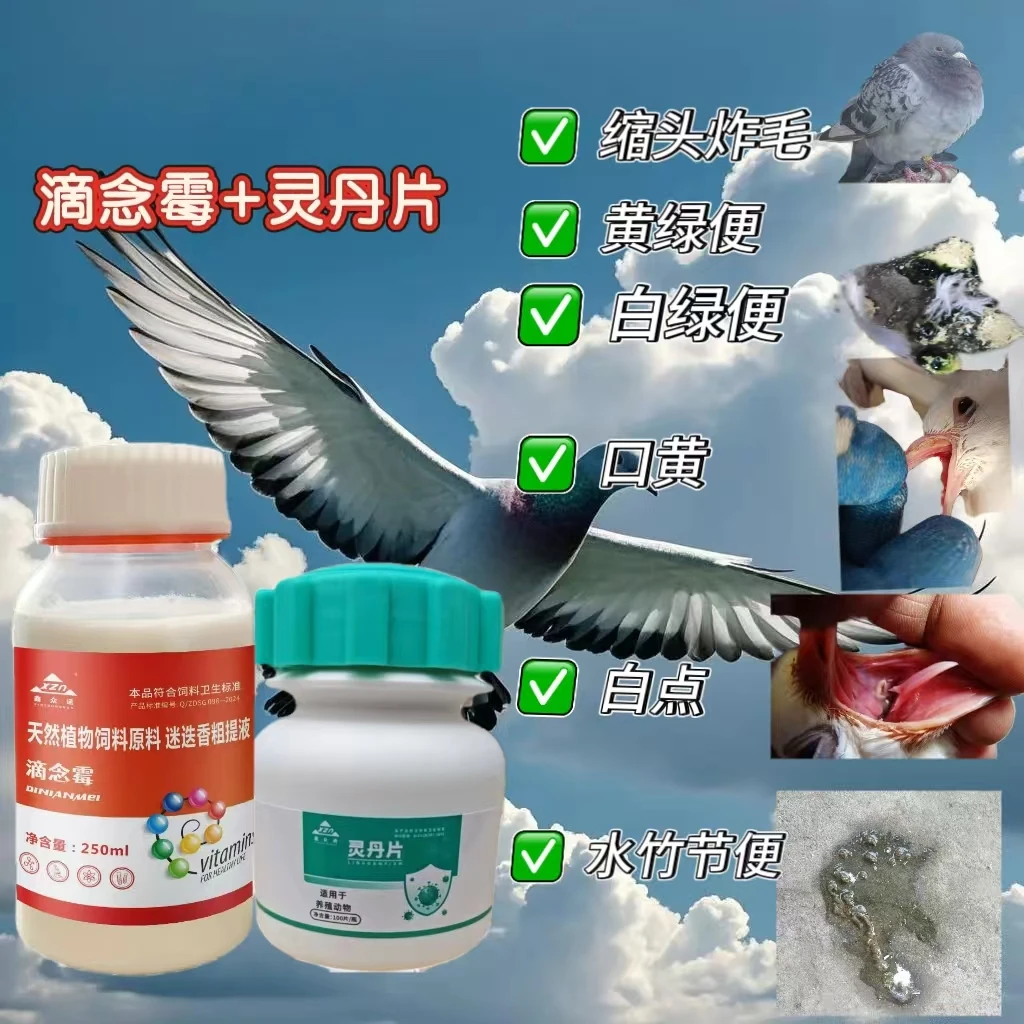 滴念霉+灵丹片:鸽口黄白点毛滴虫念珠菌缩头炸毛黄白便水绿稀便