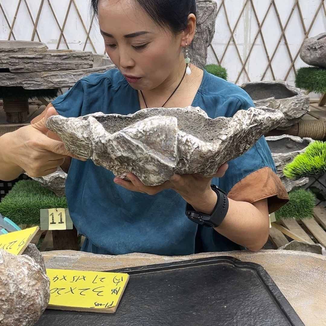 盆景盆盆景盆P1-005