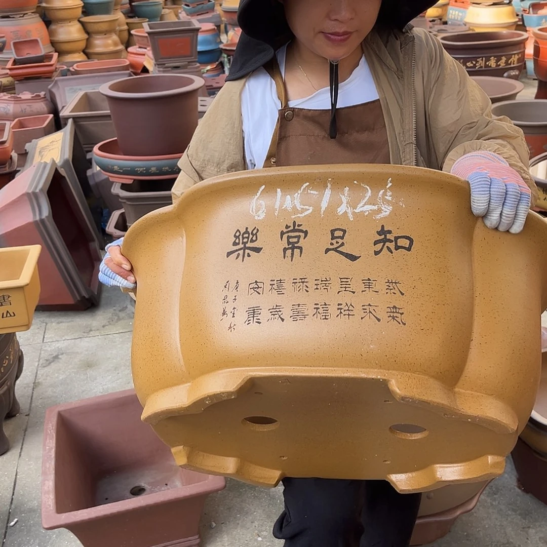 紫砂花盆盆景艺术