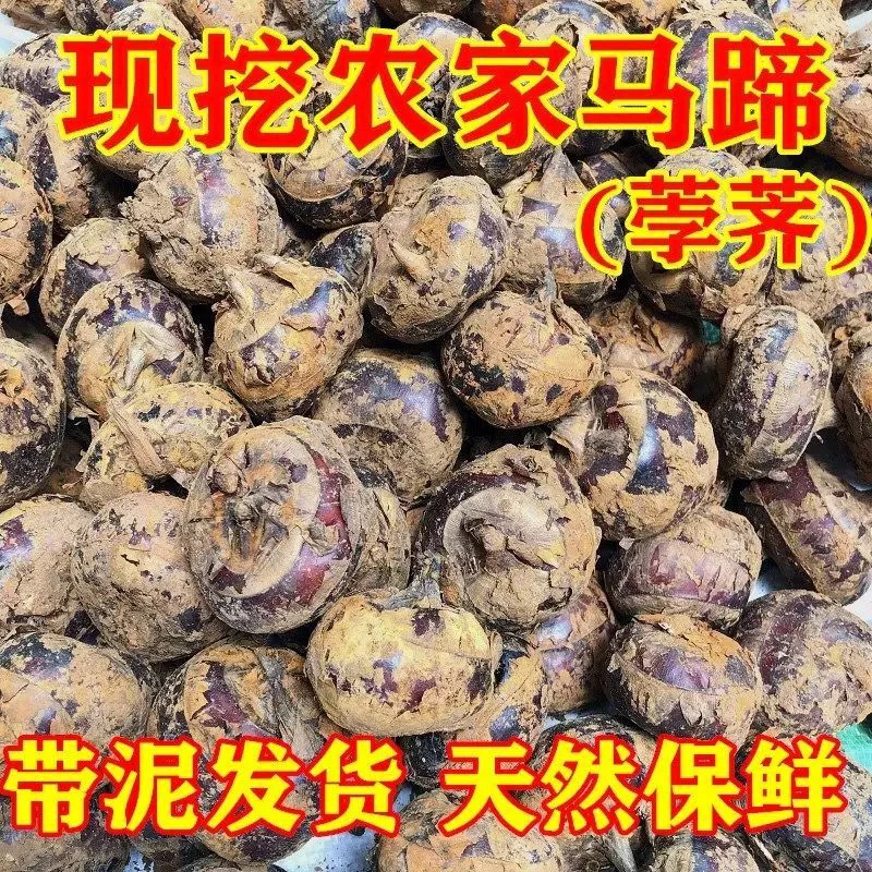 湖南农家自种马蹄