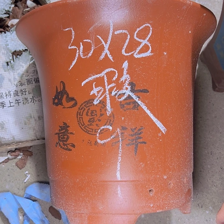 周深周深周深周深周深走
