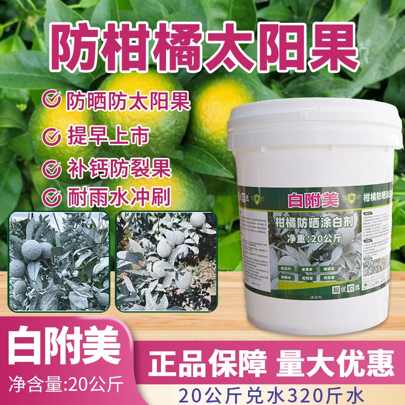 柑橘防晒剂防太阳果日灼防裂果茂谷柑防晒涂白通用防高温裂果专用