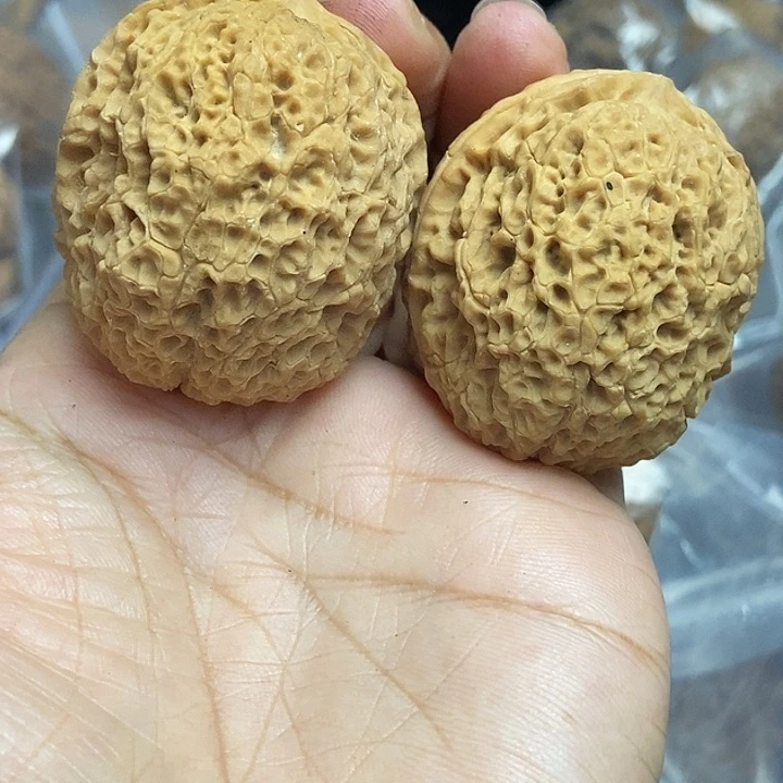 木质类云南铁核桃基地54