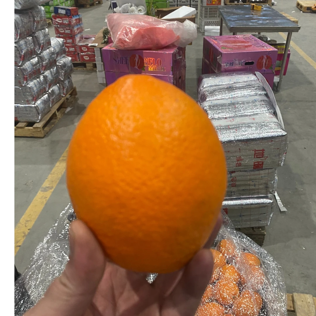 赣南脐橙颗颗大果汁水饱满