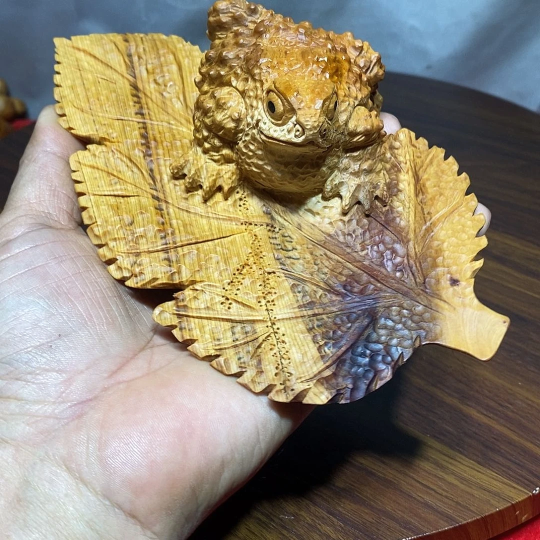 林***梦柏木（崖柏）崖柏呱呱