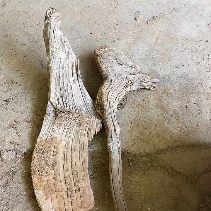 龙***下柏木崖柏崖柏崖柏