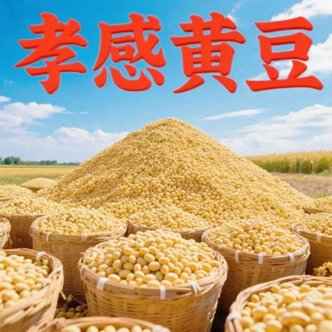 黄豆黄豆打豆浆豆花老品种农家杂粮豆浆豆腐农村专用食用农产品