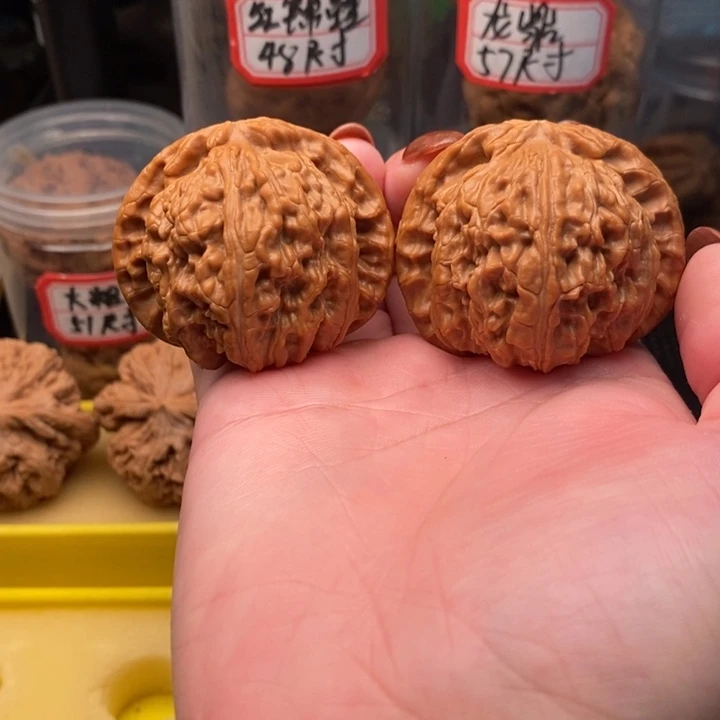 手串/手链橄榄核白狮子47全品