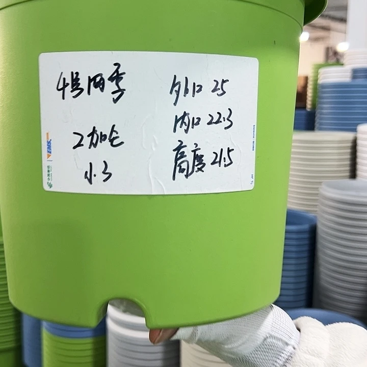 特价4号四季口25高21果绿色8个带托