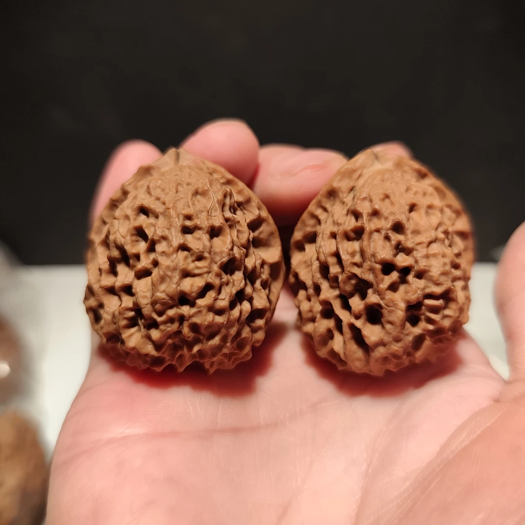 074号41云南铁核桃铁南疆蟾形菊花大兜底带阴皮虚尖微磕树头对