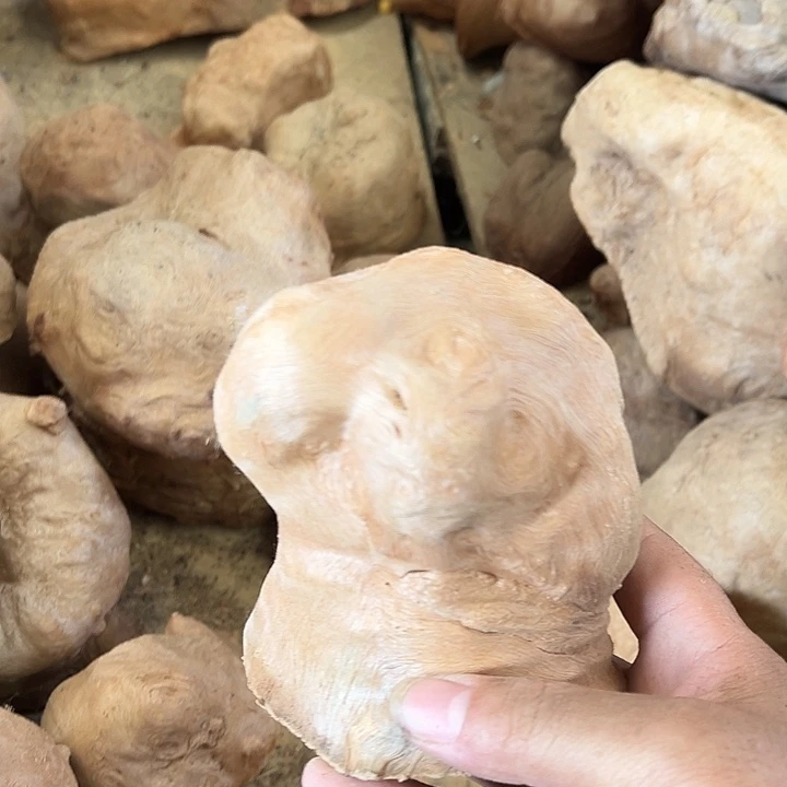 人***甜荔枝木荔枝木毛料18