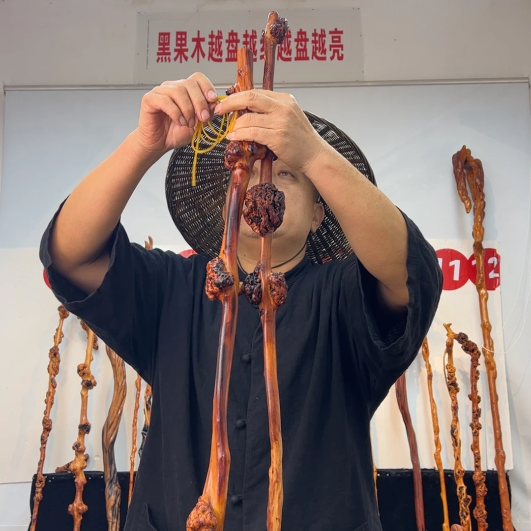 其他黑果木黑果木384