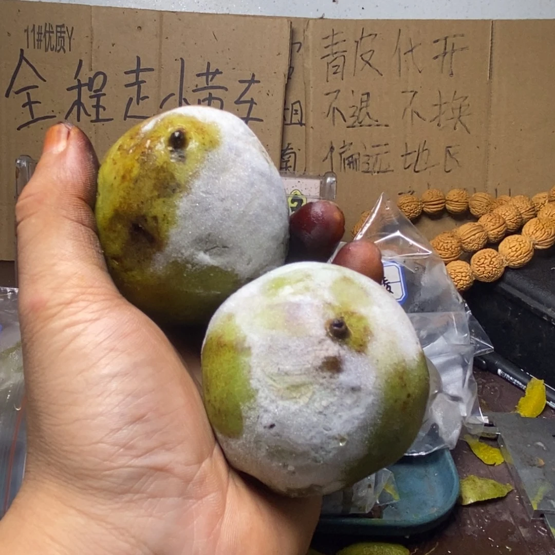 Zjc产地直发官帽04