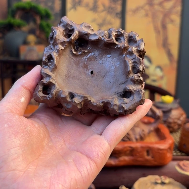 ?****?那就让他们来找她呗