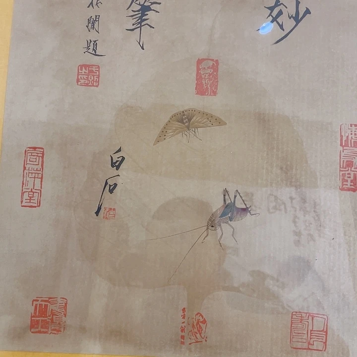 竖款天**6百事虫草框
