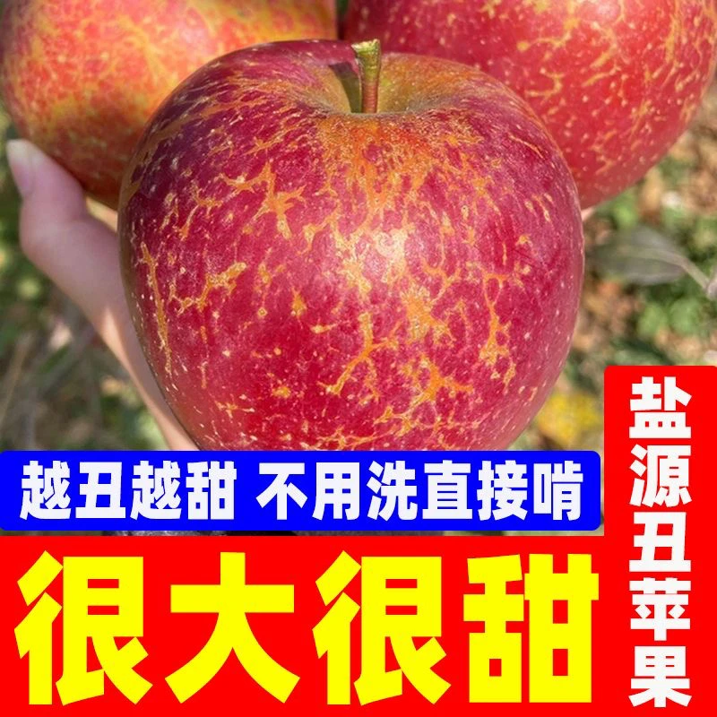 正宗四川盐源大凉山丑苹果冰糖心脆甜多汁新鲜应季水果现摘