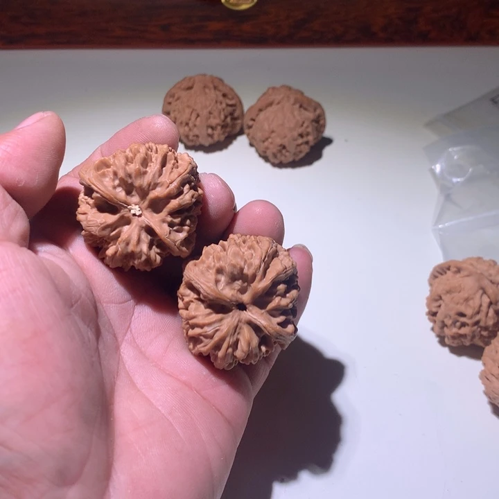 文玩核桃把件如*野牛