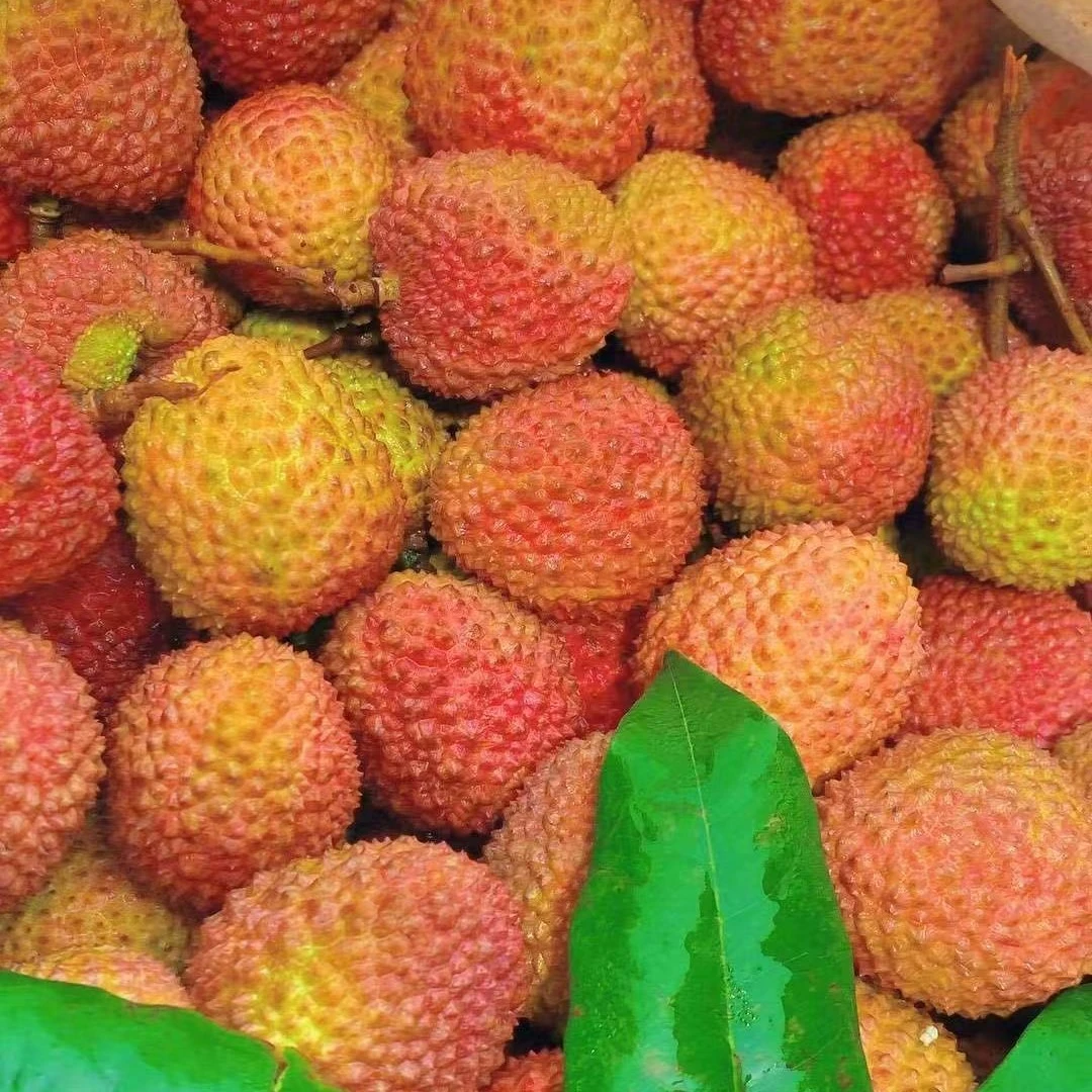 （小核）妃子笑荔枝1-3斤 海南省海南省