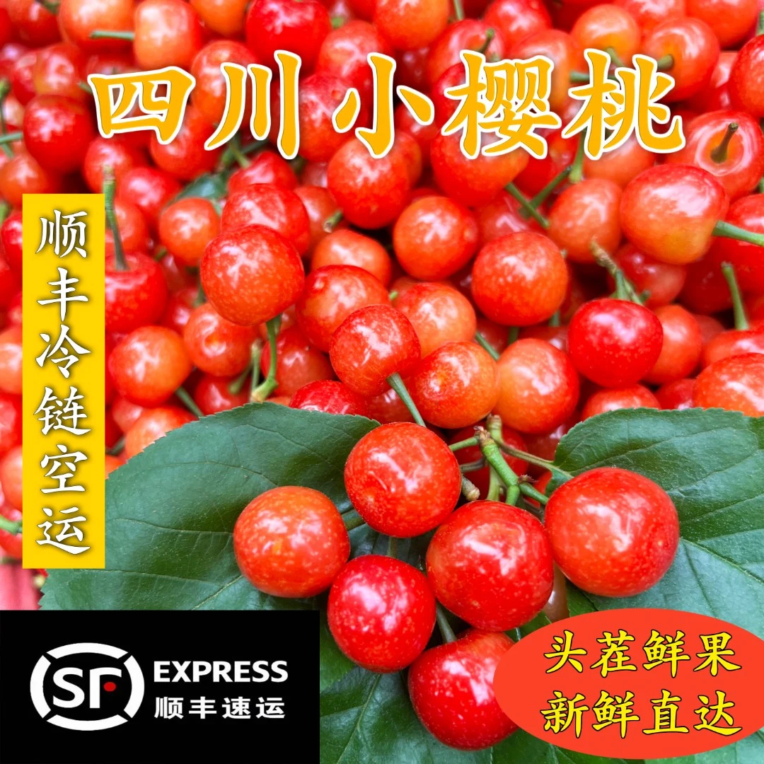 顺丰空运四川米易小樱桃土非J1斤2斤孕妈 内附果径卡