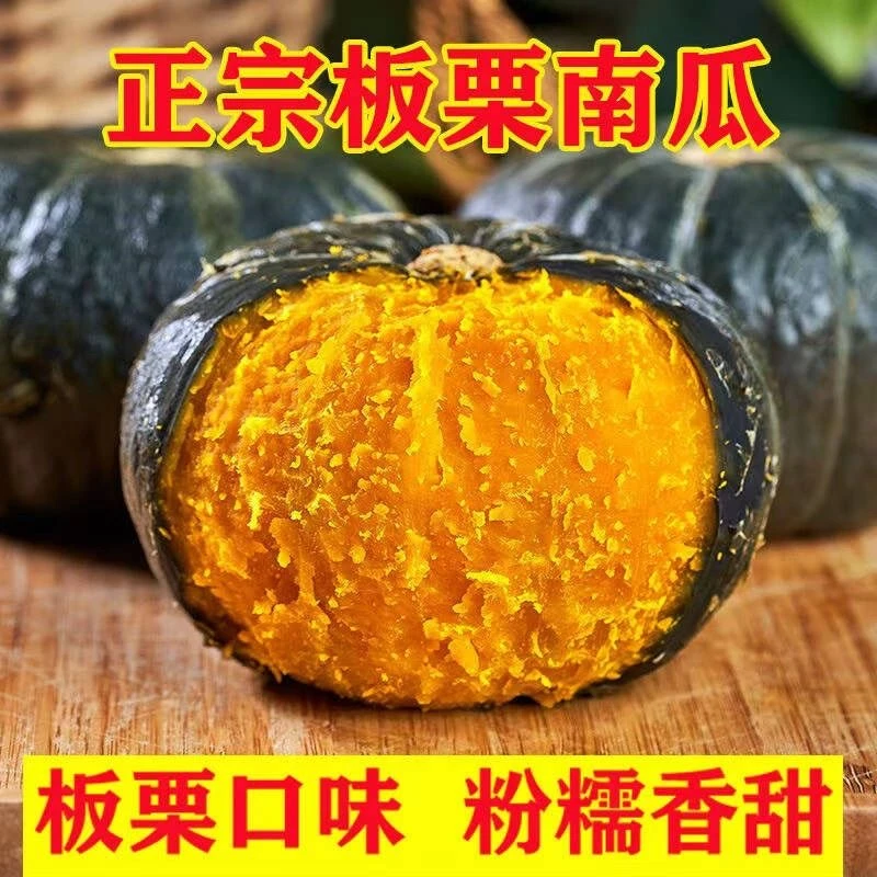 100%进口种源正宗板栗南瓜央视上榜品牌板栗南瓜