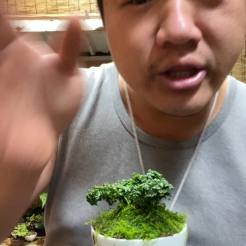 红陶自*车一物一拍所见即所得302