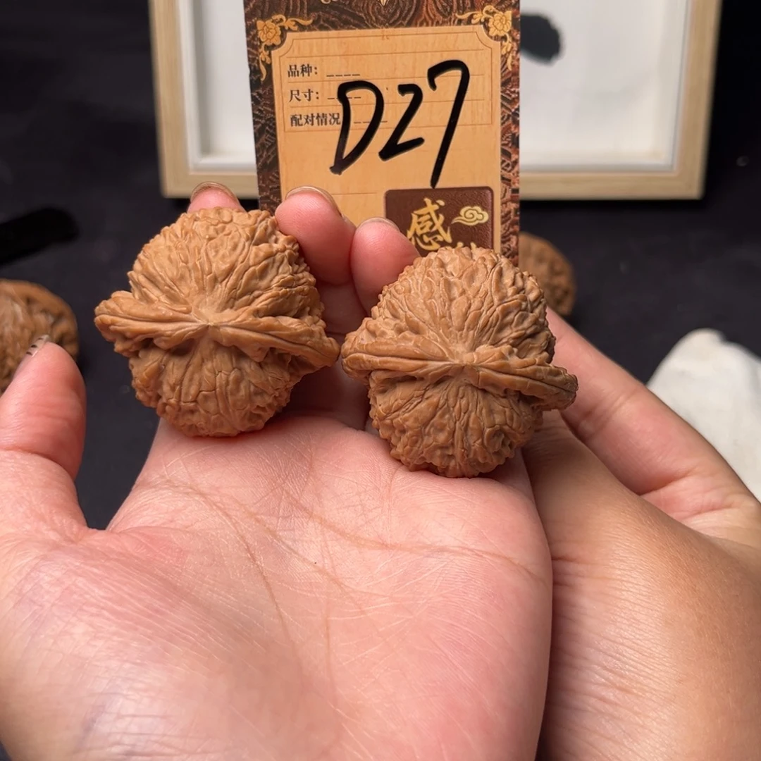 核桃d27白狮子1111