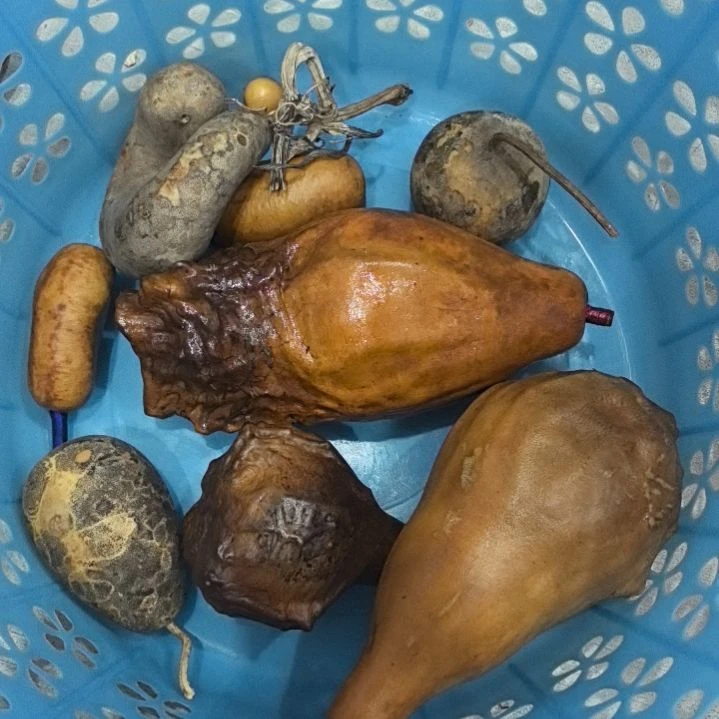 佳****头天然葫芦鹤首手把三个