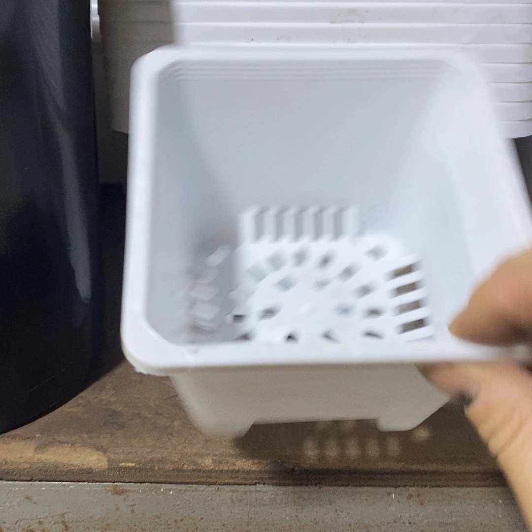 塑料新12公分白方盆加厚定制款 20个